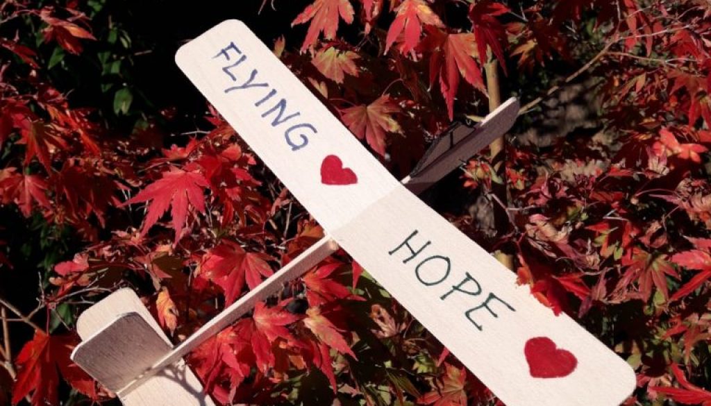 Flieger von Frederik gebastelt