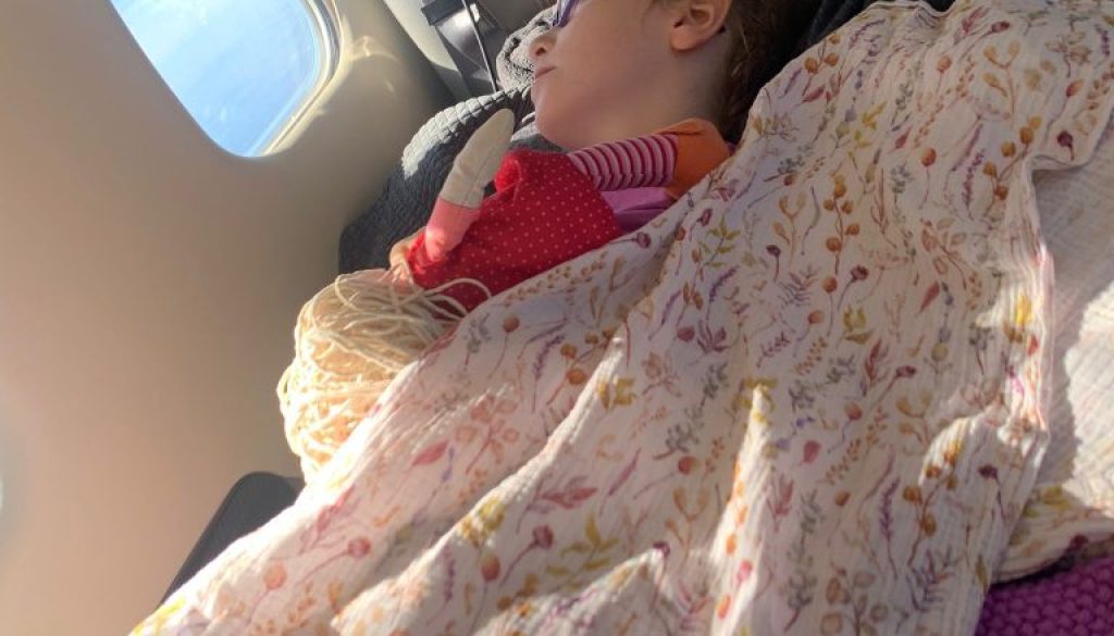 04.09.2023 Flug Amelie nach Hause Pilot Wewers